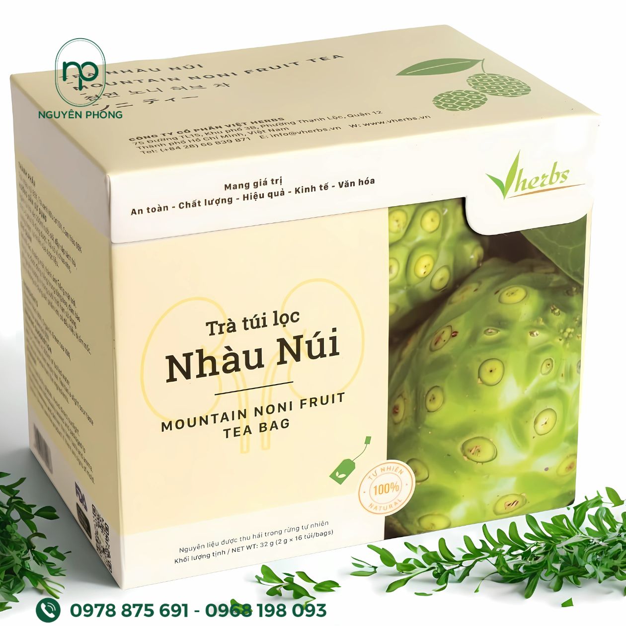 hộp đựng thuốc từ trái nhàu